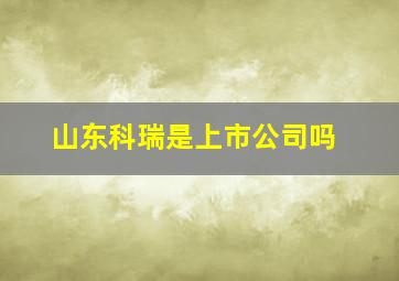 山东科瑞是上市公司吗