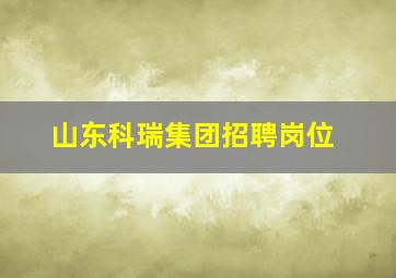 山东科瑞集团招聘岗位