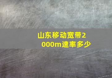 山东移动宽带2000m速率多少