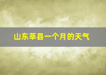 山东莘县一个月的天气