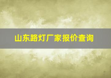 山东路灯厂家报价查询