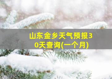 山东金乡天气预报30天查询(一个月)