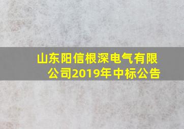 山东阳信根深电气有限公司2019年中标公告