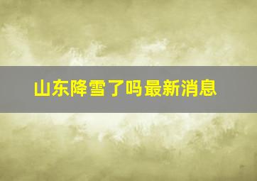 山东降雪了吗最新消息