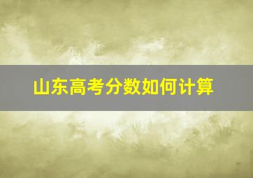 山东高考分数如何计算