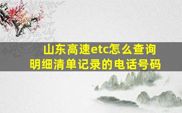 山东高速etc怎么查询明细清单记录的电话号码