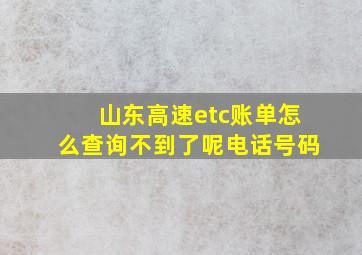 山东高速etc账单怎么查询不到了呢电话号码