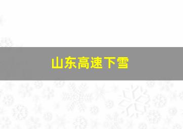 山东高速下雪