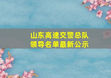 山东高速交警总队领导名单最新公示