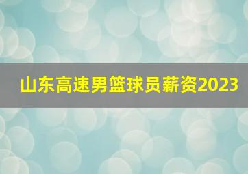 山东高速男篮球员薪资2023