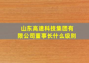 山东高速科技集团有限公司董事长什么级别