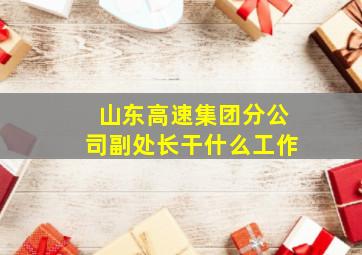 山东高速集团分公司副处长干什么工作