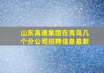 山东高速集团在青岛几个分公司招聘信息最新