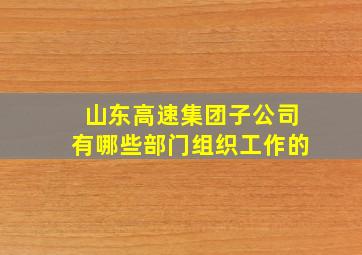 山东高速集团子公司有哪些部门组织工作的