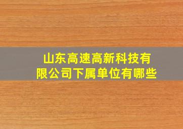 山东高速高新科技有限公司下属单位有哪些