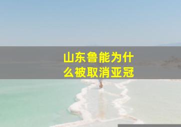 山东鲁能为什么被取消亚冠