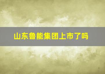 山东鲁能集团上市了吗