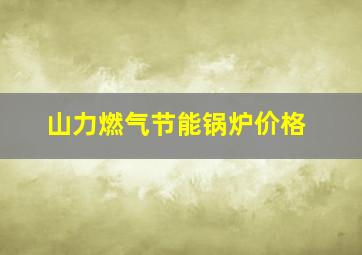 山力燃气节能锅炉价格