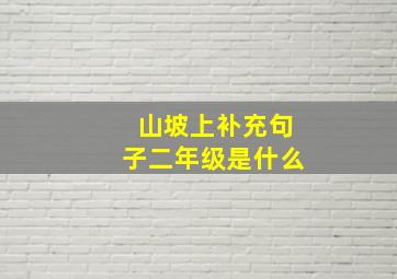 山坡上补充句子二年级是什么