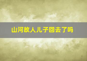 山河故人儿子回去了吗