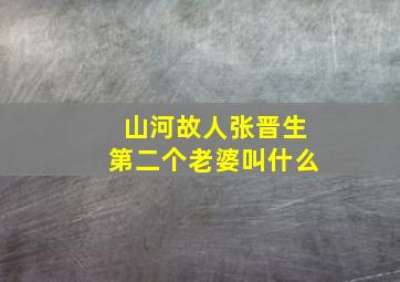 山河故人张晋生第二个老婆叫什么