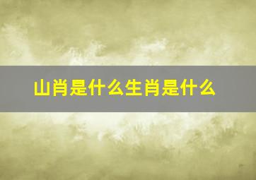 山肖是什么生肖是什么