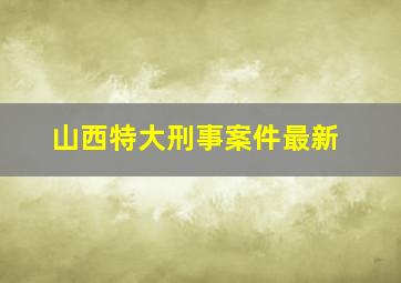 山西特大刑事案件最新