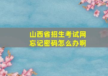 山西省招生考试网忘记密码怎么办啊