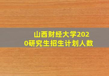 山西财经大学2020研究生招生计划人数