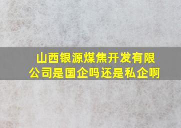 山西银源煤焦开发有限公司是国企吗还是私企啊