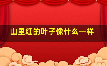 山里红的叶子像什么一样