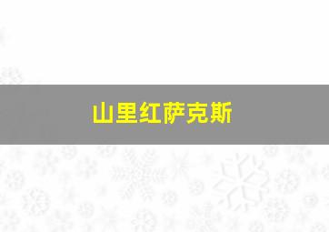 山里红萨克斯