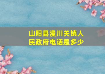 山阳县漫川关镇人民政府电话是多少