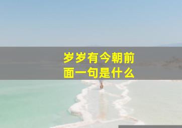 岁岁有今朝前面一句是什么