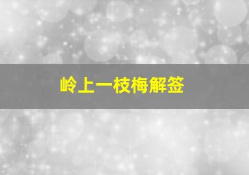 岭上一枝梅解签