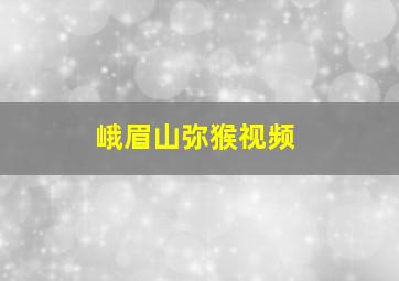 峨眉山弥猴视频