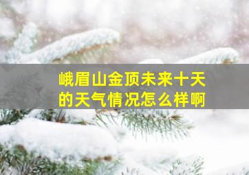 峨眉山金顶未来十天的天气情况怎么样啊