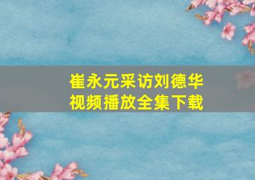 崔永元采访刘德华视频播放全集下载