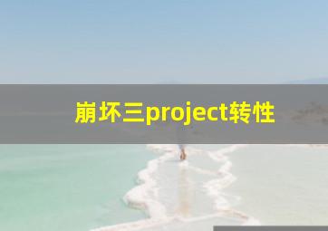 崩坏三project转性