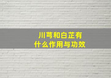 川芎和白芷有什么作用与功效