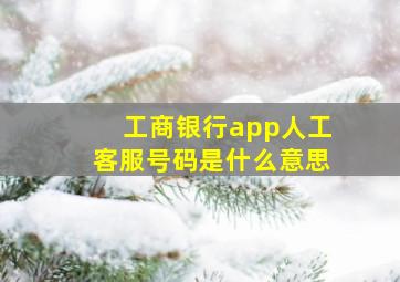 工商银行app人工客服号码是什么意思