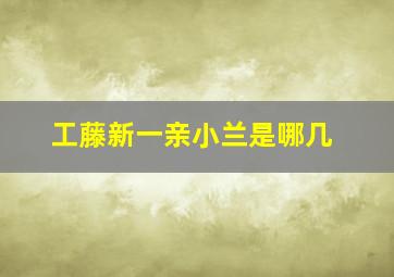 工藤新一亲小兰是哪几