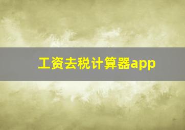 工资去税计算器app