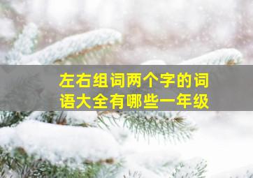 左右组词两个字的词语大全有哪些一年级