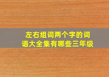 左右组词两个字的词语大全集有哪些三年级