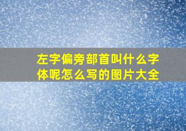 左字偏旁部首叫什么字体呢怎么写的图片大全