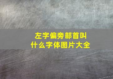 左字偏旁部首叫什么字体图片大全