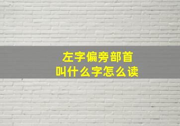 左字偏旁部首叫什么字怎么读