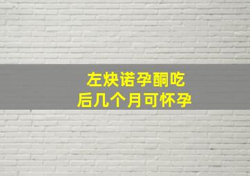 左炔诺孕酮吃后几个月可怀孕