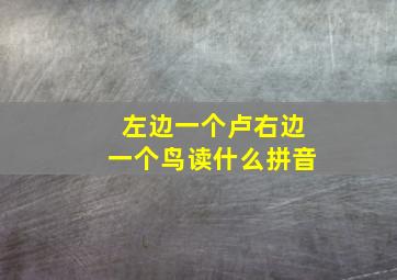 左边一个卢右边一个鸟读什么拼音